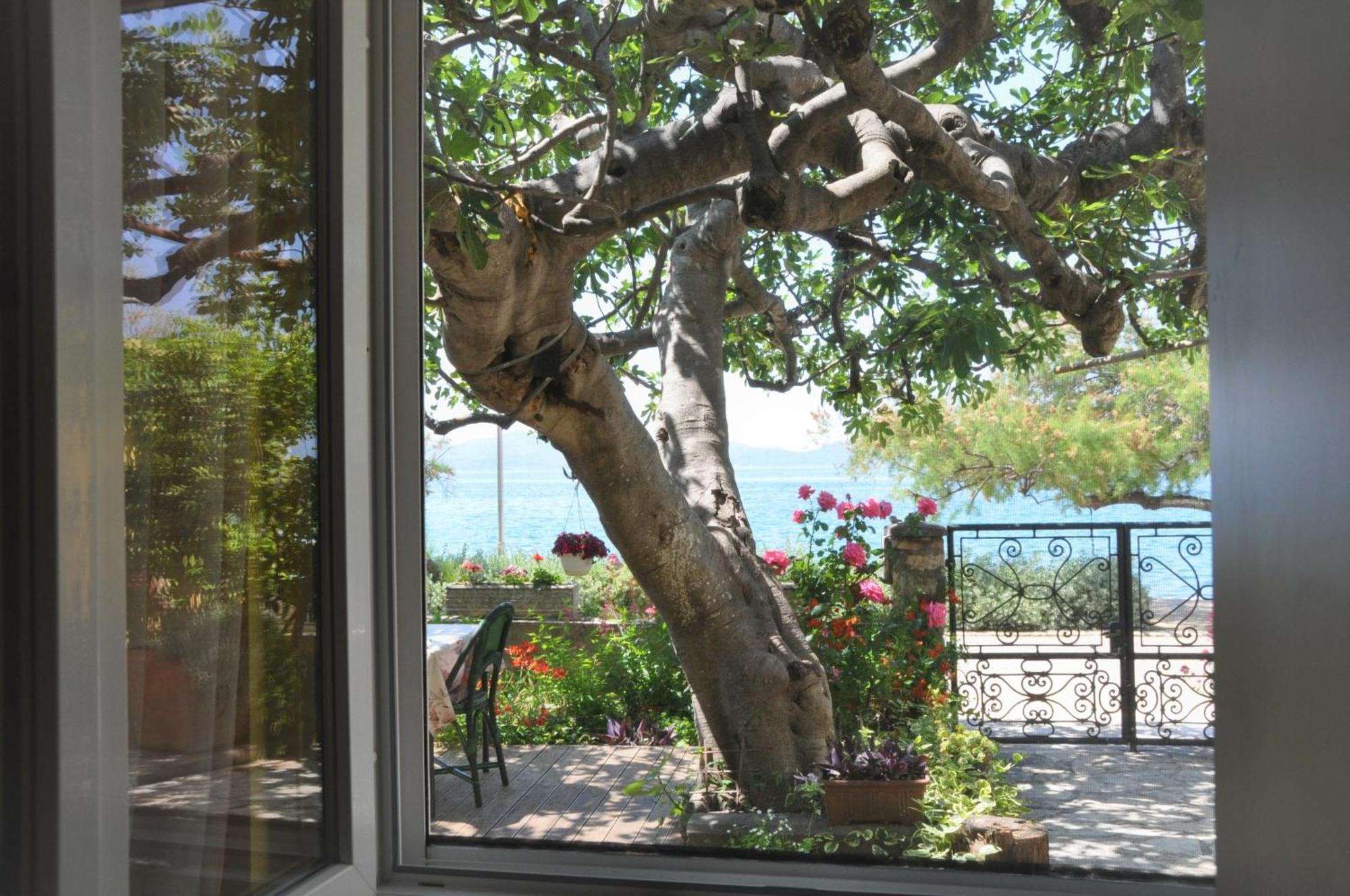 Apartments Matesic Zadar Exterior photo