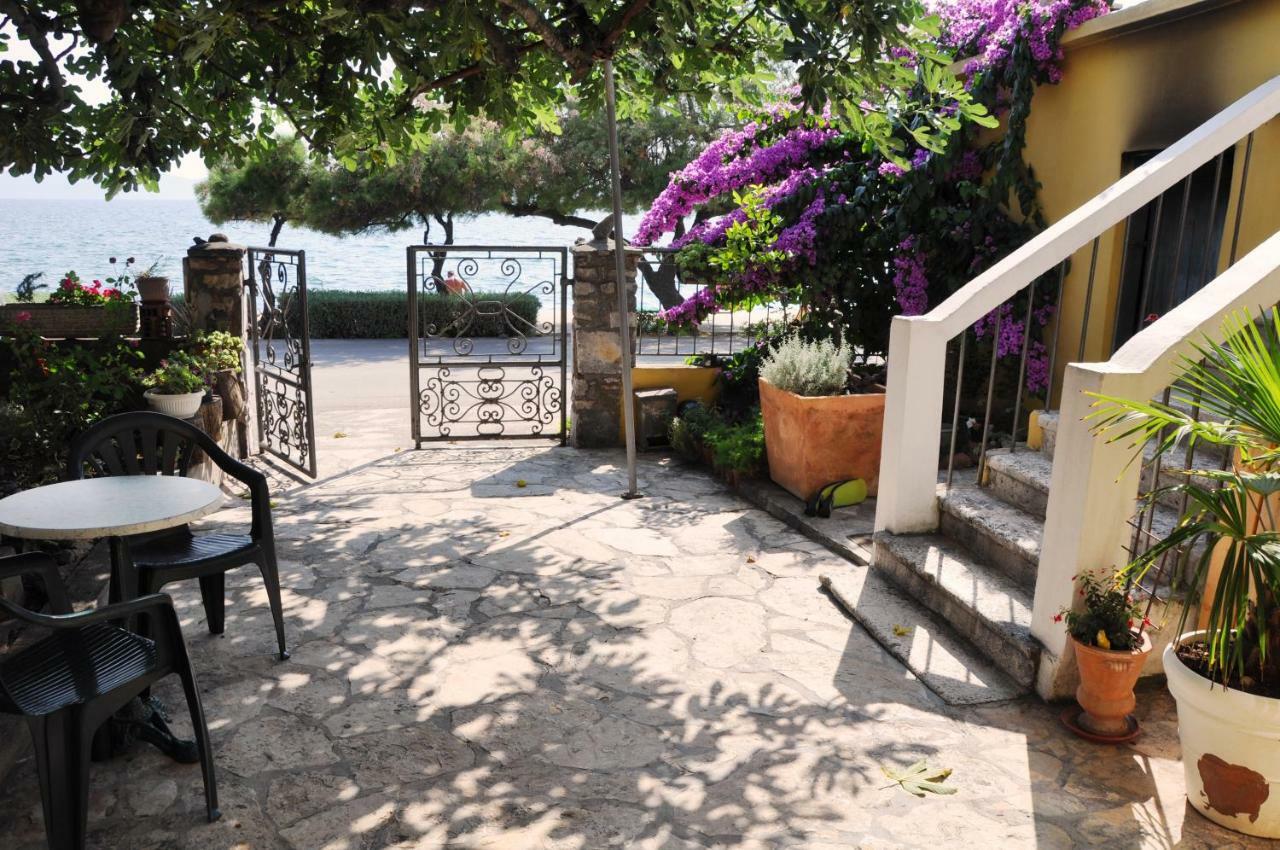 Apartments Matesic Zadar Exterior photo
